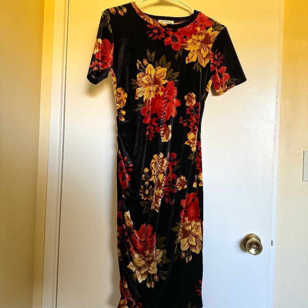Zara Velvet Floral Dress